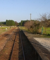 091018-5.jpg