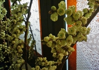 100327-3.jpg