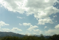 100425-1.jpg