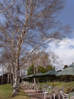 100425-2.jpg