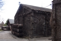 100425-6.jpg