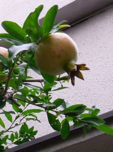 100924_2.jpg