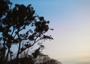 120118.jpg