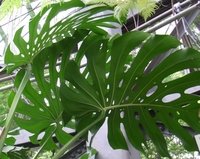 20100522-1.jpg