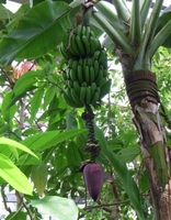 20100522-2.jpg