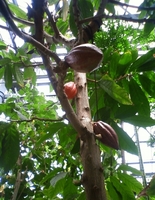 20100522-3.jpg