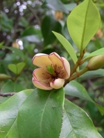 20100522-8.jpg