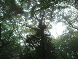 20130215--.jpg