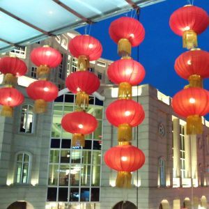 20130215.jpg