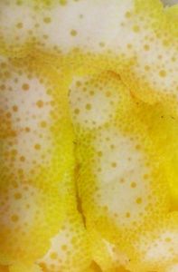 20130323.jpg