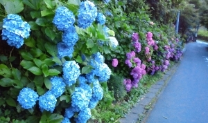 20130709.jpg