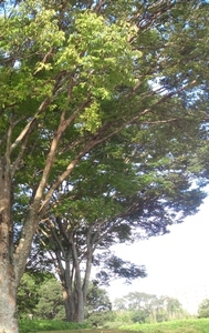 20130803.jpg