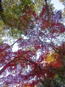 20131124.jpg